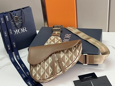 DIOR Handbags 786